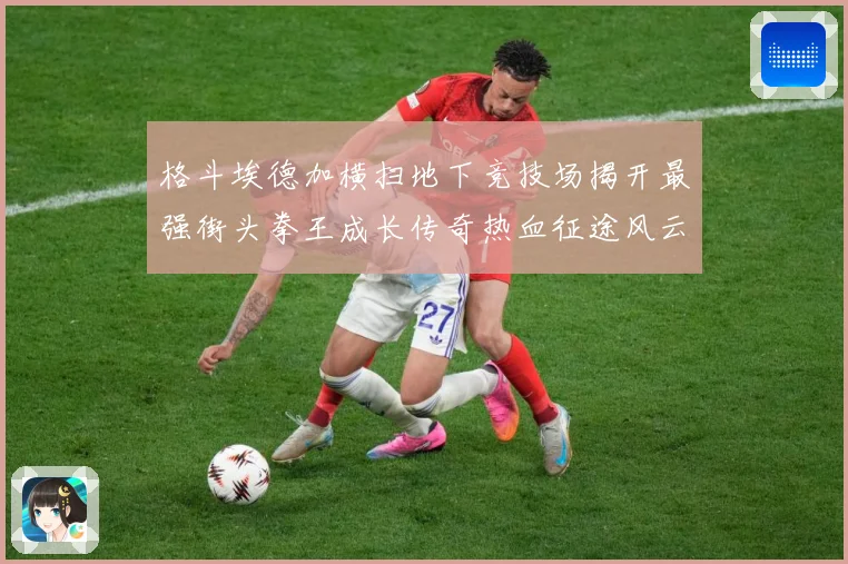格斗埃德加横扫地下竞技场揭开最强街头拳王成长传奇热血征途风云录解析