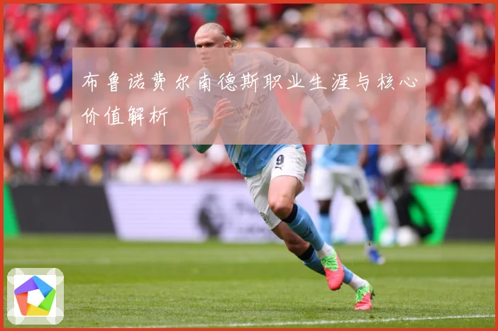 布鲁诺费尔南德斯职业生涯与核心价值解析